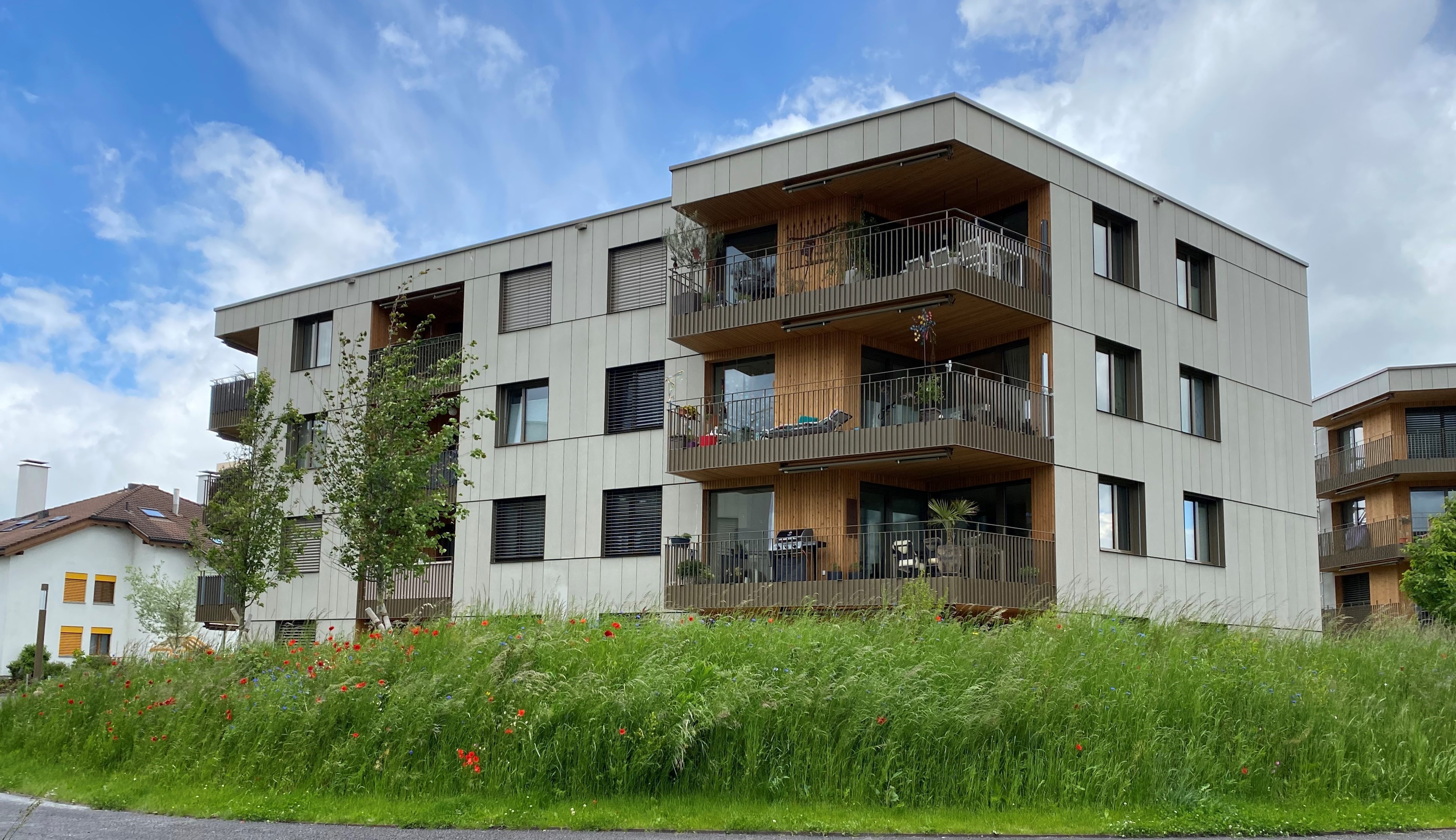 Widnau, Menzi Park 4